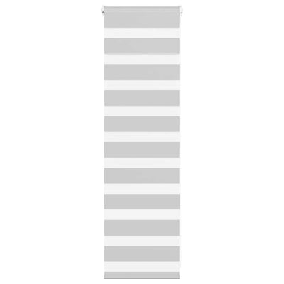 Vidaxl Zebra Roller Blind 40x100 cm Staubbreite 35,9 cm hellgrau