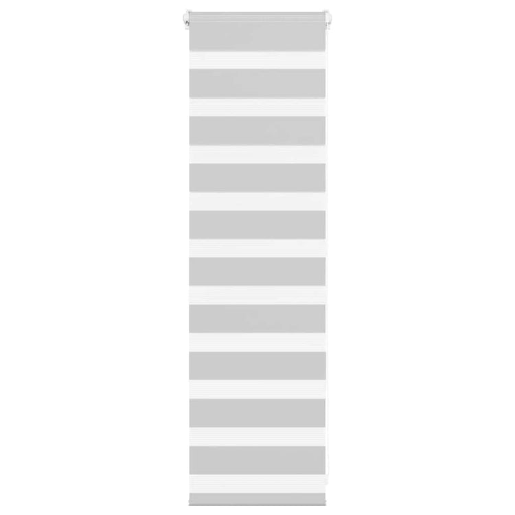 Vidaxl Zebra Roller Blind 40x100 cm Staubbreite 35,9 cm hellgrau