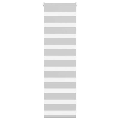 Vidaxl Zebra Roller Blind 45x100 cm Staubbreite 40,9 cm hellgrau