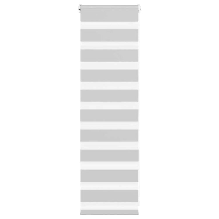 Vidaxl Zebra Roller Blind 45x100 cm Staubbreite 40,9 cm hellgrau