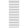 Vidaxl Zebra Roller Blind 55x100 cm Stoffbreite 50,9 cm hellgrau