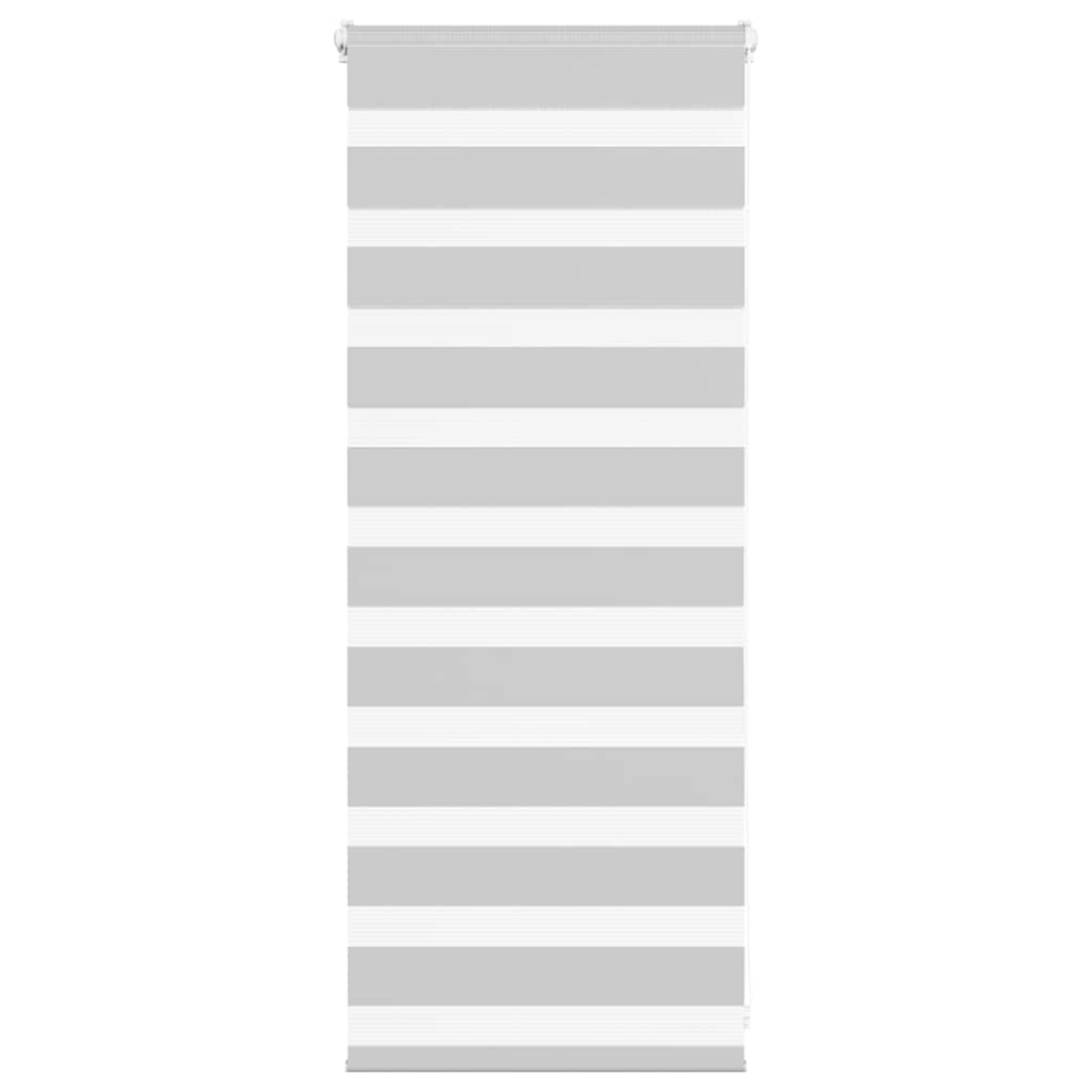 Vidaxl Zebra Roller Blind 60x100 cm Staubbreite 55,9 cm hellgrau