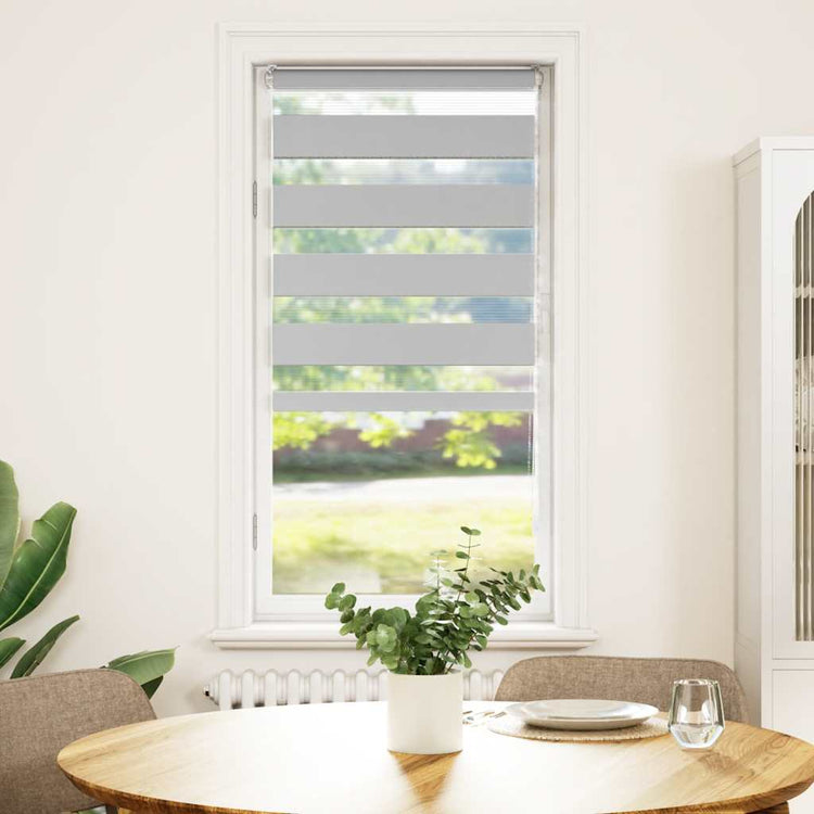 Vidaxl Zebra Roller Blind 60x100 cm Staubbreite 55,9 cm hellgrau