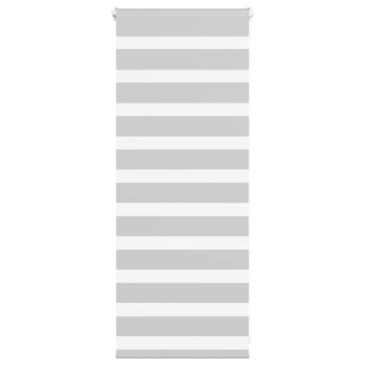 Vidaxl Zebra Roller Blind 65x100 cm Stoffbreite 60,9 cm hellgrau