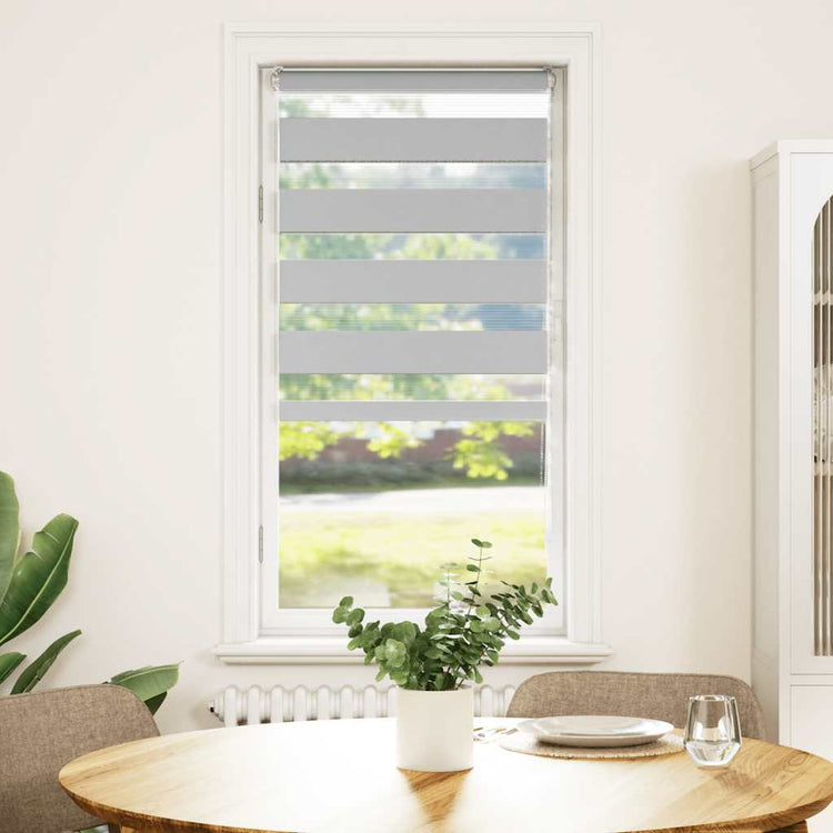 Vidaxl Zebra Roller Blind 65x100 cm Stoffbreite 60,9 cm hellgrau
