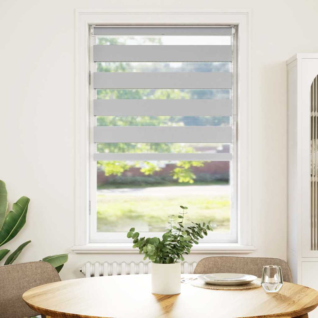 Vidaxl Zebra Roller Blind 90x100 cm Stoffbreite 85,9 cm hellgrau
