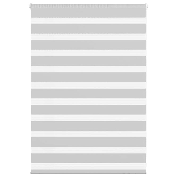 Vidaxl Zebra Roller Blind 100x100 cm Stoffbreite 95,9 cm hellgrau