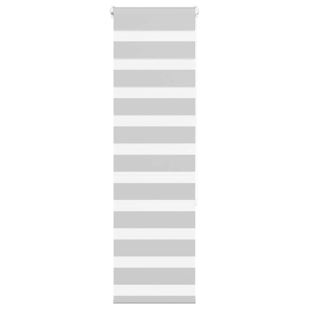 Vidaxl Zebra Roller Blind 50x150 cm Stoffbreite 45,9 cm hellgrau
