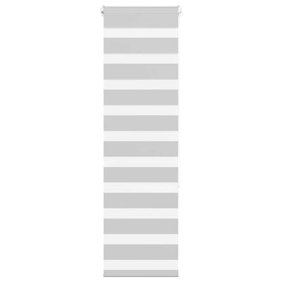Vidaxl Zebra Roller Blind 50x150 cm Stoffbreite 45,9 cm hellgrau