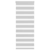 Vidaxl Zebra Roller Blind 55x150 cm Stoffbreite 50,9 cm hellgrau