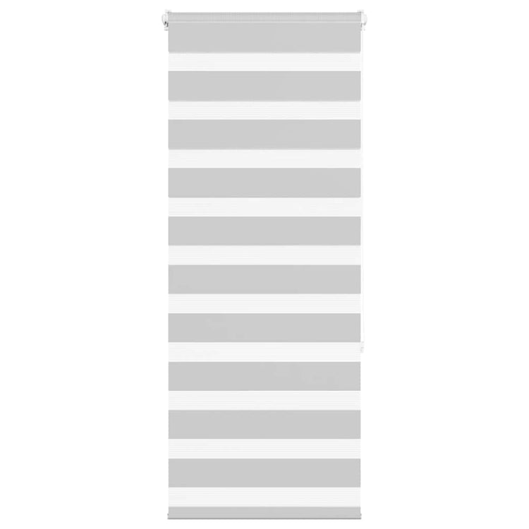 Vidaxl Zebra Roller Blind 55x150 cm Stoffbreite 50,9 cm hellgrau