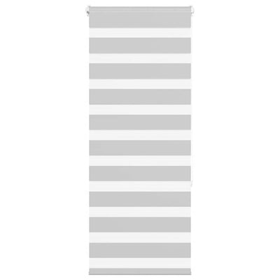 Vidaxl Zebra Roller Blind 60x150 cm Staubbreite 55,9 cm hellgrau