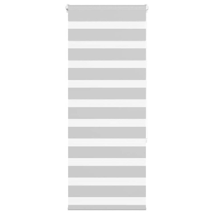 Vidaxl Zebra Roller Blind 60x150 cm Staubbreite 55,9 cm hellgrau
