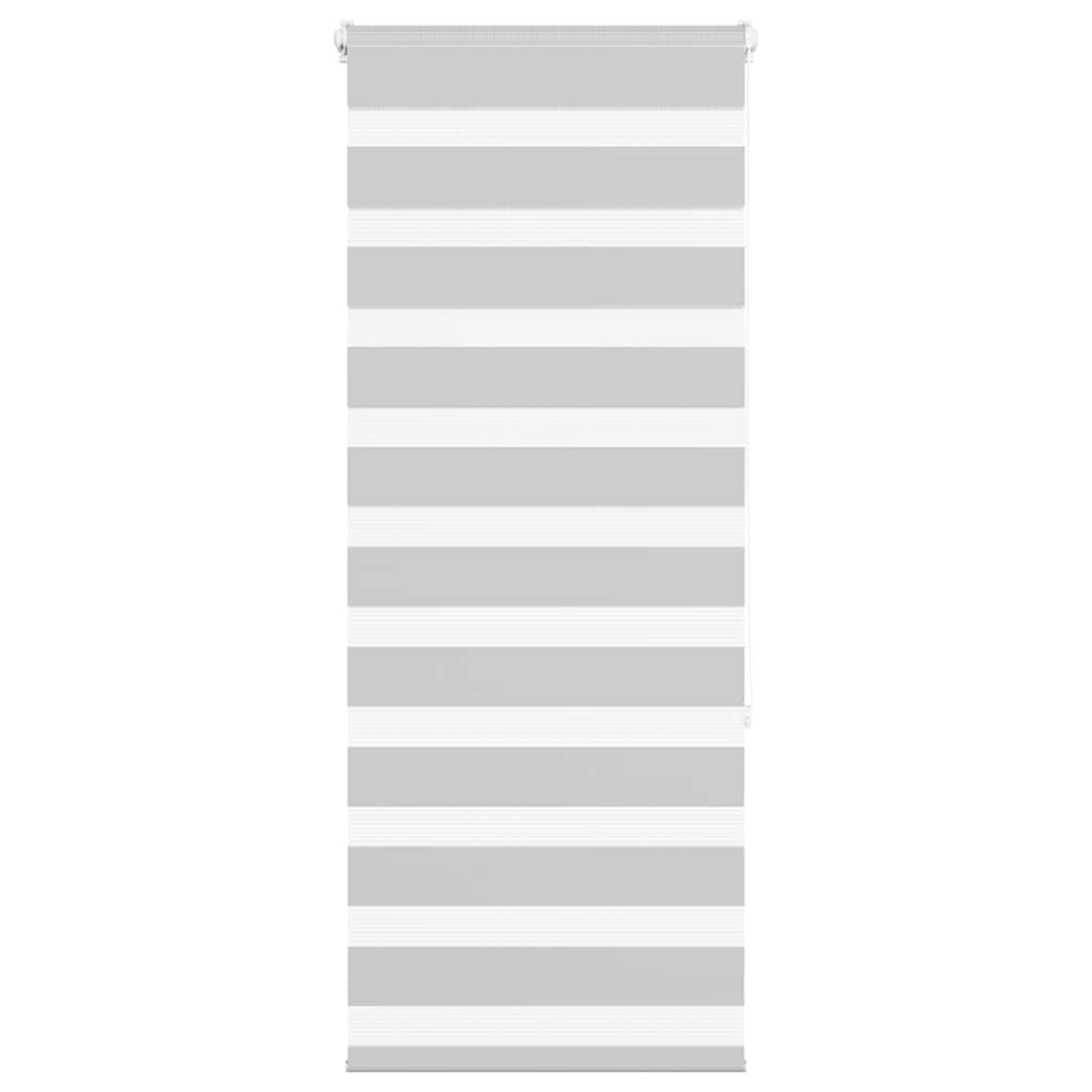 Vidaxl Zebra Roller Blind 65x150 cm Stoffbreite 60,9 cm hellgrau