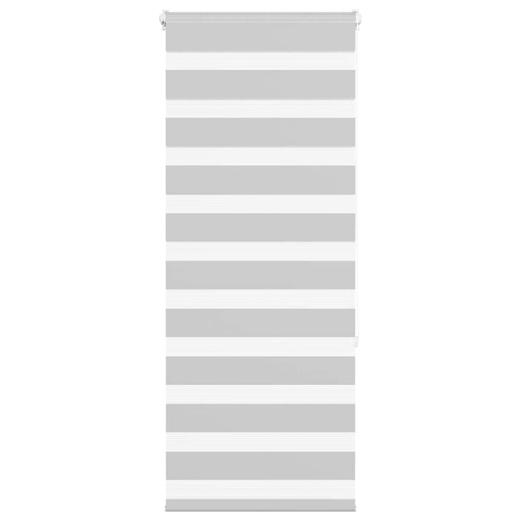 Vidaxl Zebra Roller Blind 65x150 cm Stoffbreite 60,9 cm hellgrau