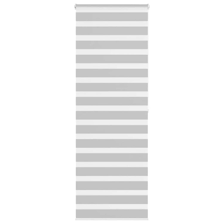 Vidaxl Zebra Roller Blind 70x200 cm Staubbreite 65,9 cm hellgrau