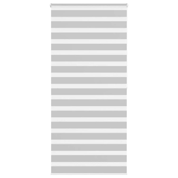 Vidaxl Zebra Roller Blind 105x200 cm Stoffbreite 100,9 cm hellgrau
