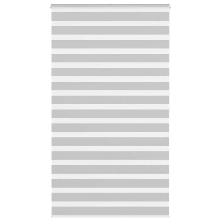 Vidaxl Zebra Roller Blind 125x200 cm Stoffbreite 120,9 cm hellgrau