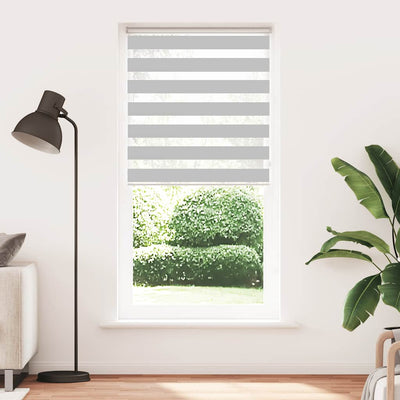 Vidaxl Zebra Roller Blind 95x230 cm Stoffbreite 90,9 cm hellgrau