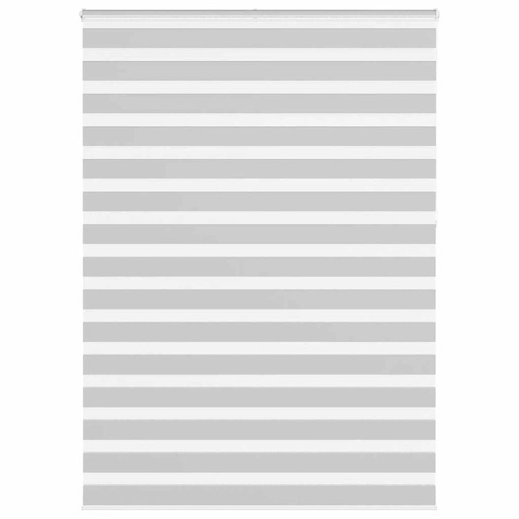 Vidaxl Zebra Roller Blind 165x230 cm Stoffbreite 160,9 cm hellgrau