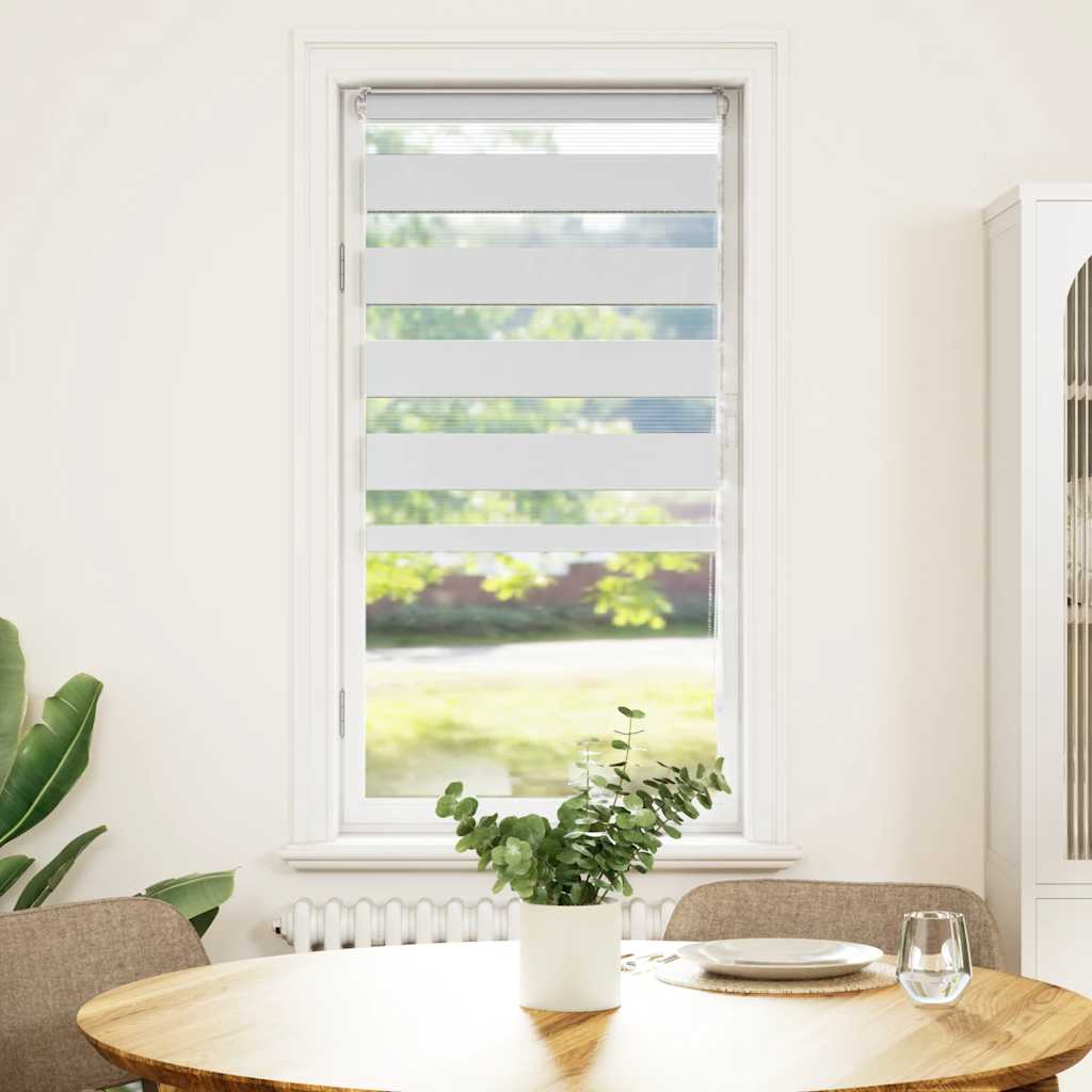 Vidaxl Zebra Roller Blind 55x100 cm Staubbreite 50,9 cm Polyester weiß