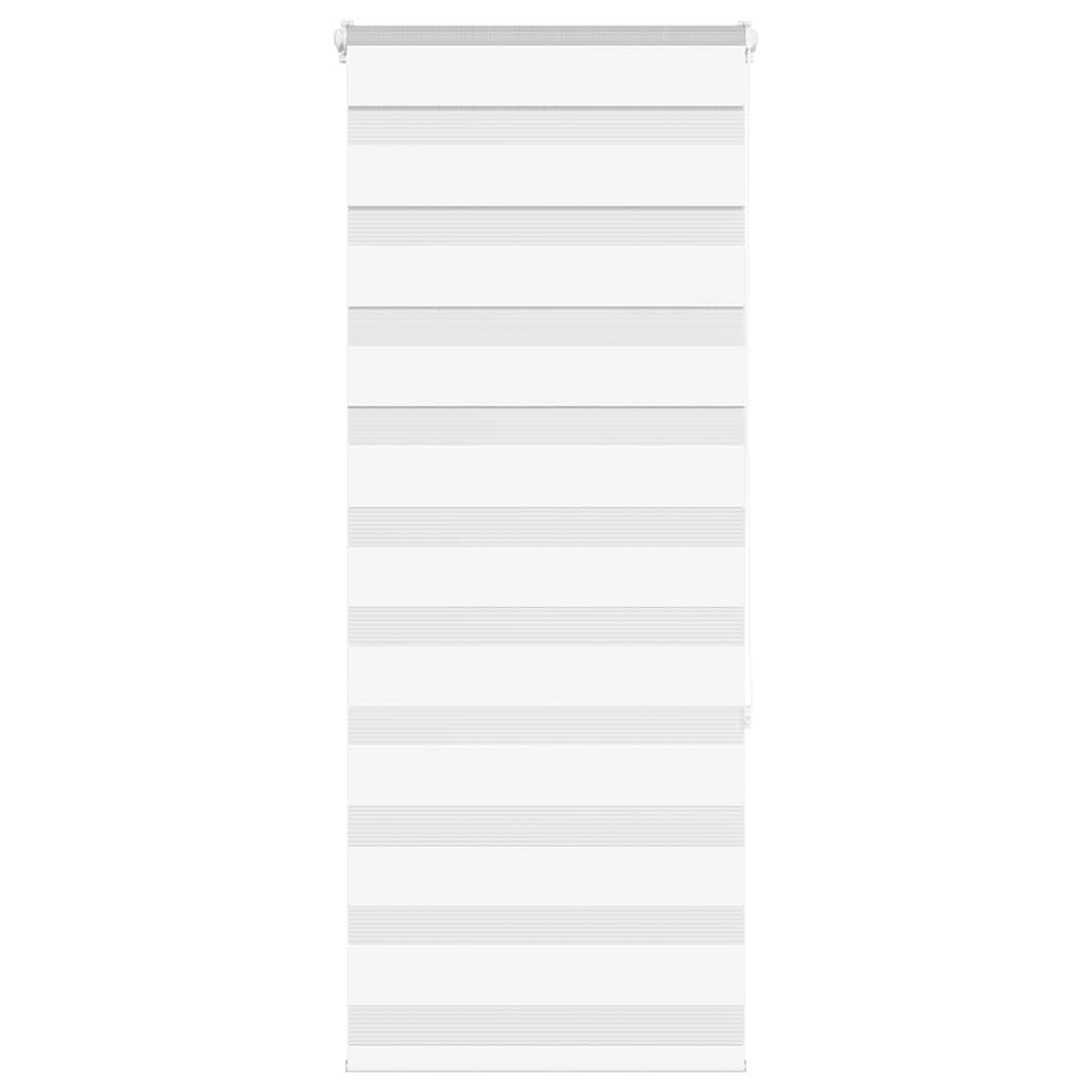 Vidaxl Zebra Roller Blind 55x150 cm Staubbreite 50,9 cm Polyester weiß