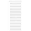 Vidaxl Zebra Roller Blind 60x150 cm Staubbreite 55,9 cm Polyester weiß