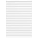 Vidaxl Zebra Roller Blind 165x230 cm Stoffbreite 160,9 cm Polyester weiß