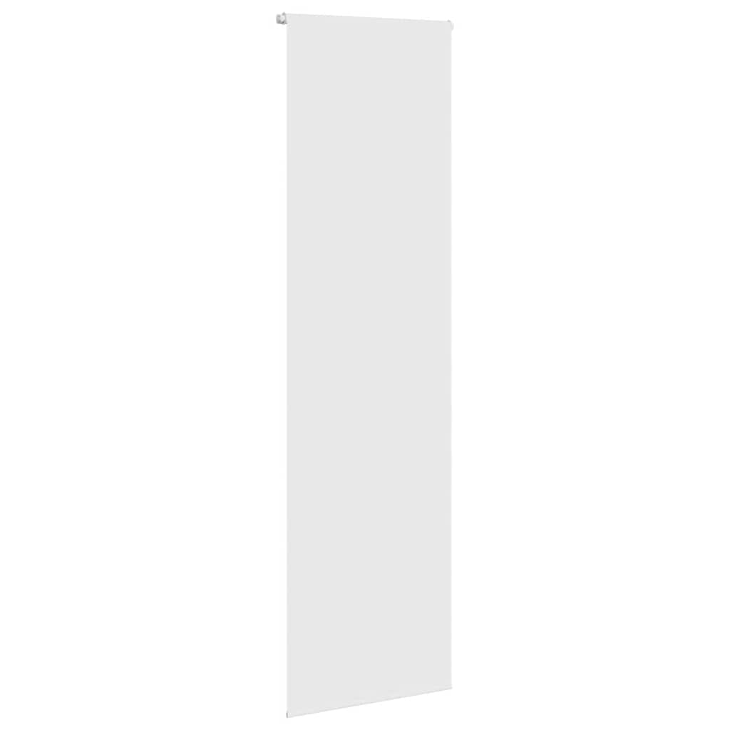 Vidaxl Duschwalze Blind 60x240 cm Staubbreite 56 cm