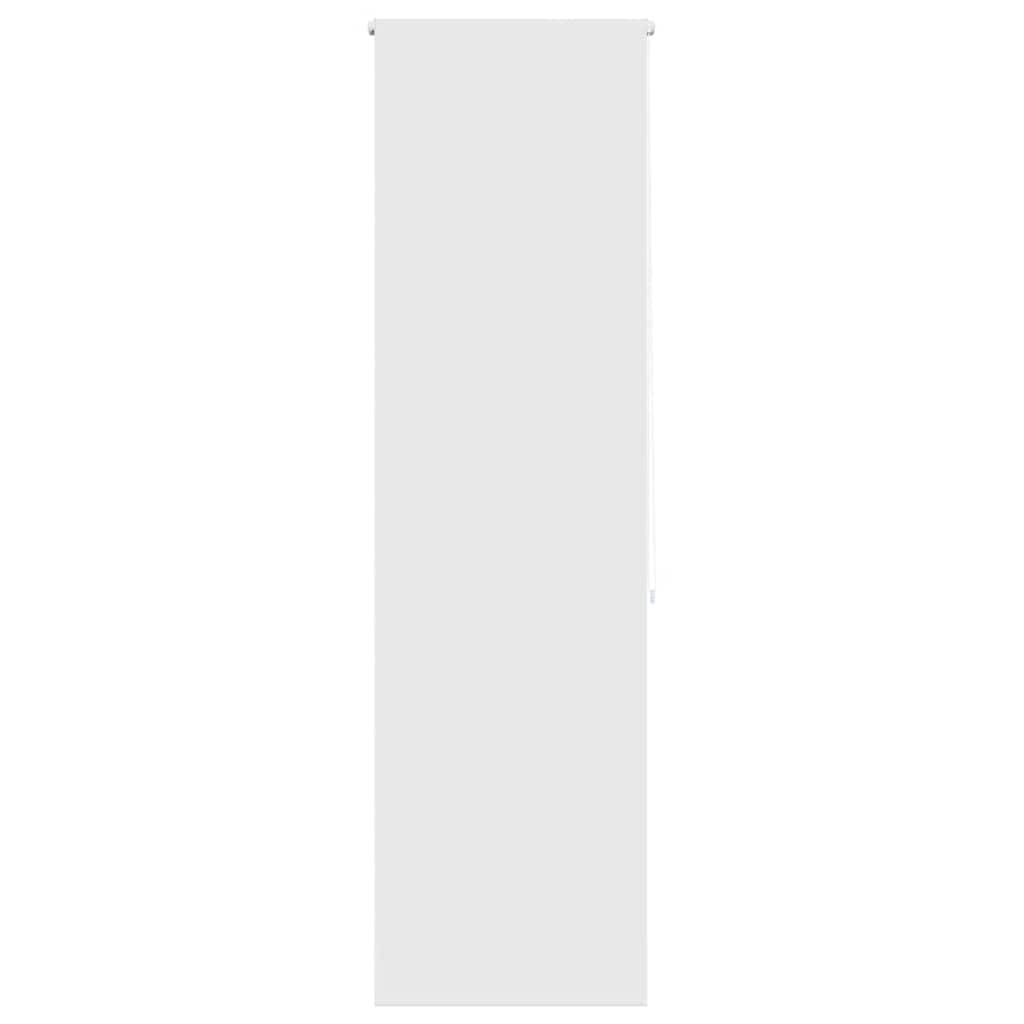 Vidaxl Duschwalzenvorhang 80x240 cm Staubbreite 76 cm