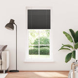 Vidaxx Plissee-Rollo 95x200 cm Stoffbreite 94,4 cm Polyester schwarz - afbeelding 1