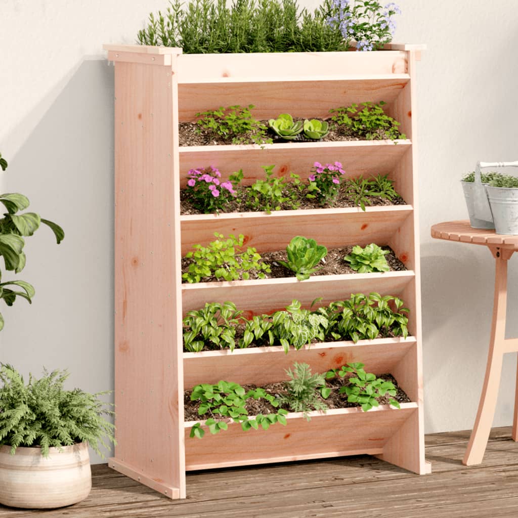 VIDAXL KERB KOST 6-LAYER 69X40X101.5 CM Solid Douglashout