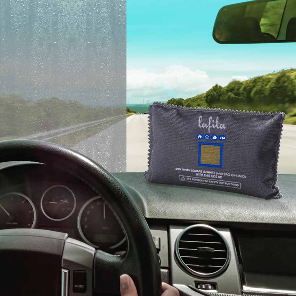 VIDAXL -Entfeuchtierer für Auto wiederverwendbar 2 PCs 400 g