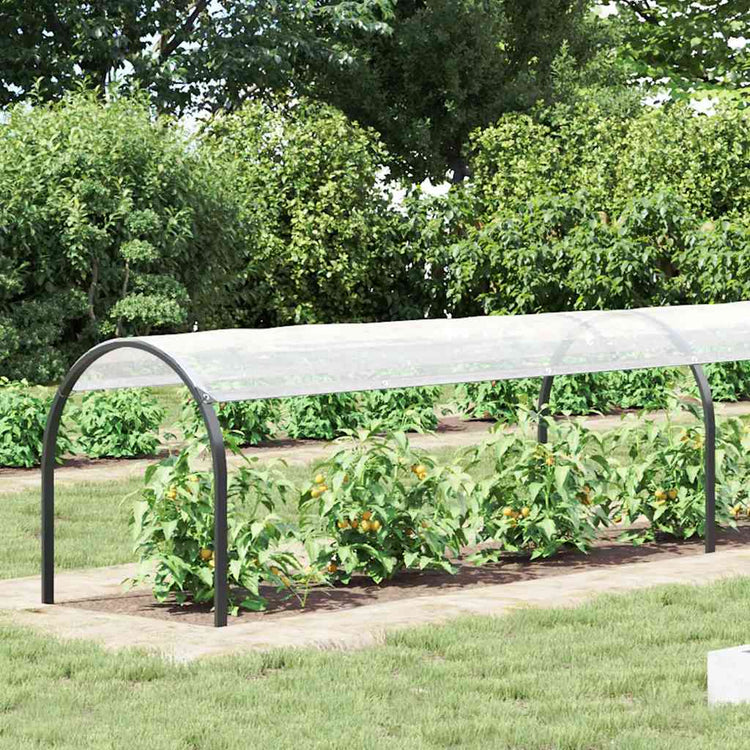Vidaxl transparente Tarke mit Segelringen 1x6 m Polyethylen