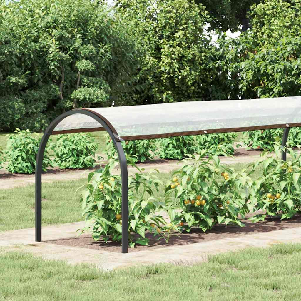 Vidaxl transparente Tarke mit Segelringen 1x6 m Polyethylen