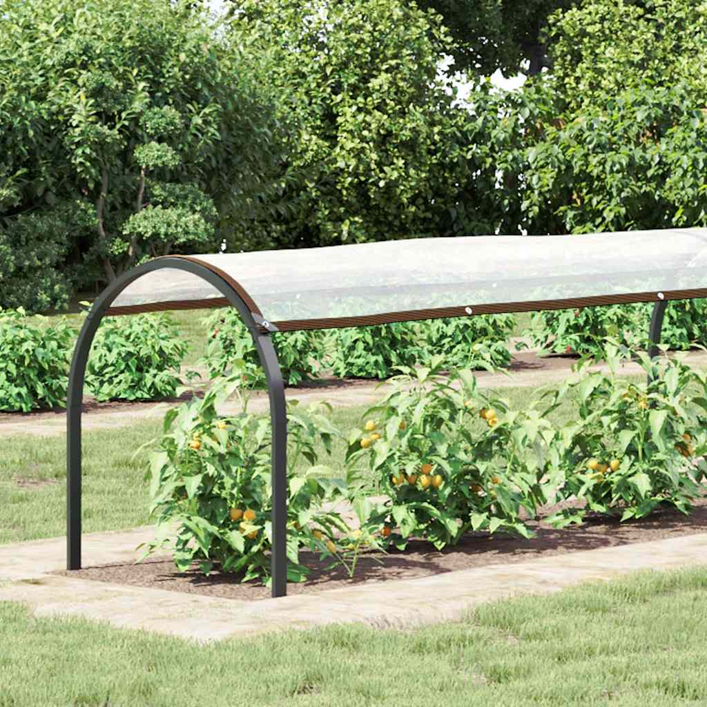 Vidaxl transparente Tarke mit Segelringen 1x10 m Polyethylen