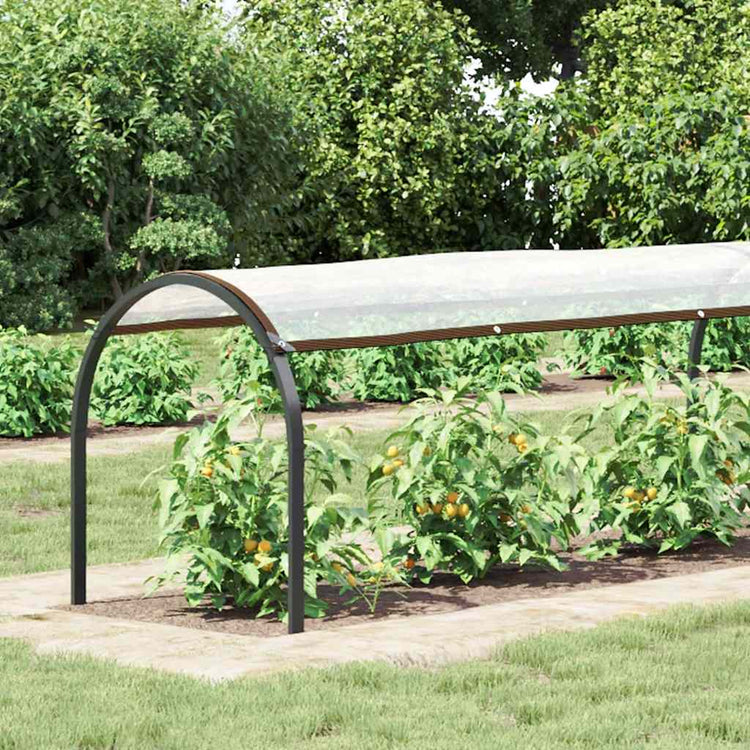 Vidaxl transparentes Tarkaulin mit Segelringen 1x12 M Polyethylen