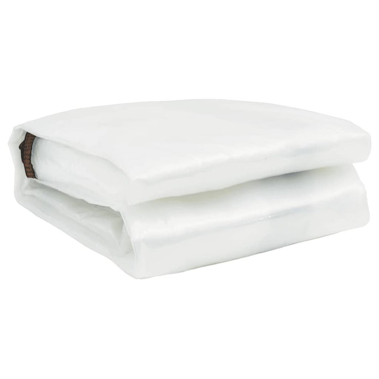 Vidaxl transparente Tarpaulin mit Segelringen 6x8 m Polyethylen