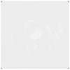 VIDAXL transparente Planen mit Segelringen 2x2 M PVC