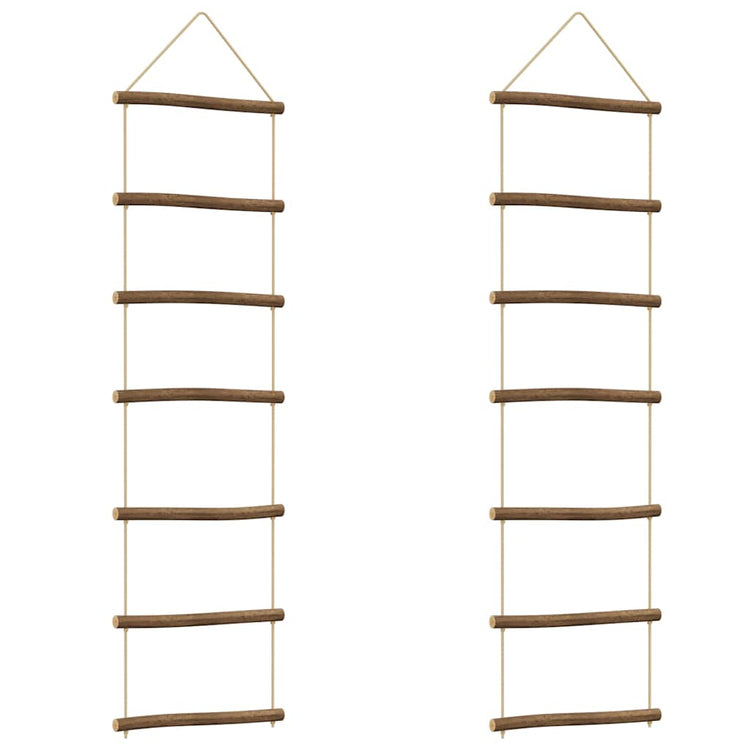 Vidaxl Wanddekoration Leiter -2 Stcs 30x100 cm Naturel Branch