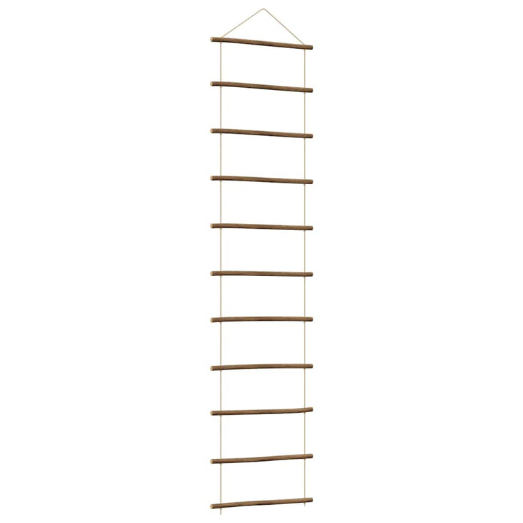 Vidaxl Wanddekorationsleiter -50 x 200 cm Naturalz