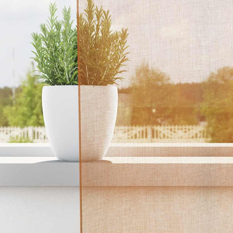 Vidaxl Vorhänge Voile mit Ösen 2 Stück Terrakotta