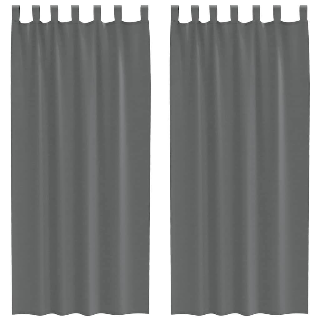 Vidaxx Gardinen Voile mit Schlaufen 2 Stück 140x225 cm dunkelgrau
