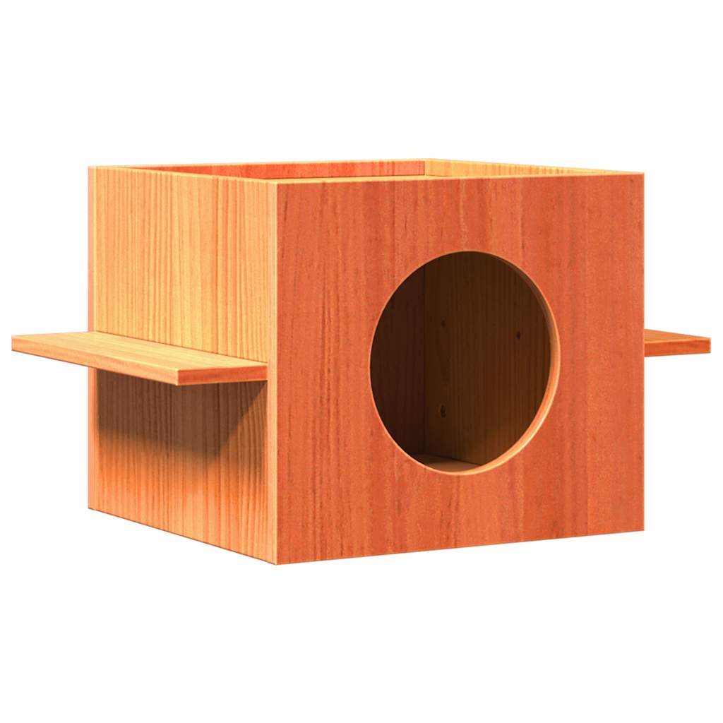 Vidaxl Kattenhuis 51x35x30 cm Festkiefer Wäschebraun
