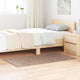 Vidaxx Anti-Rutsch-Shaggy-Teppich braun 80 x 150 cm PP