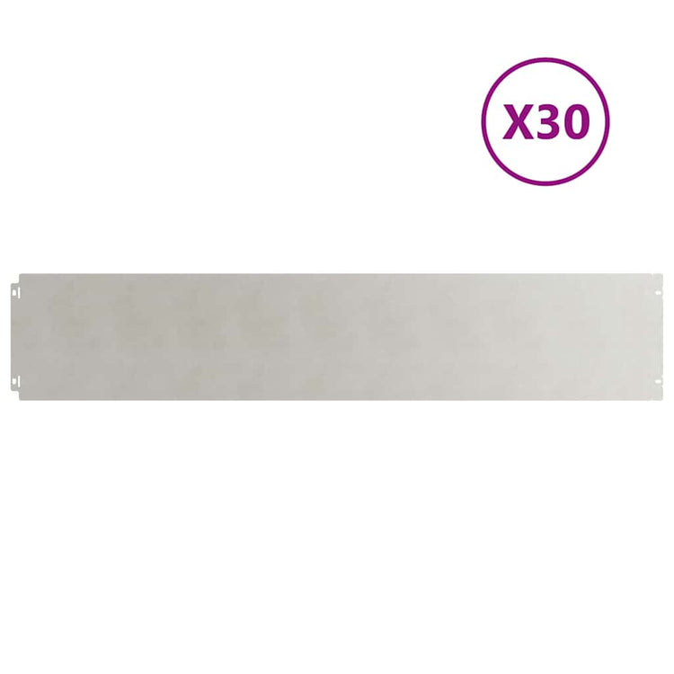 Vidaxxl Rasenkanten 30 Stück 20x103 cm Edelstahl