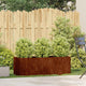 Vidaxx Pflanzgefäß rostig 120x40x40 cm wetterfester Stahl