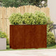 Vidaxx Pflanzgefäß rostig 120x40x80 cm wetterfester Stahl