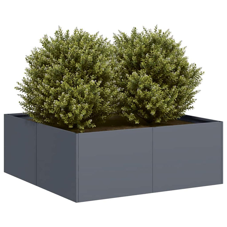 Vidaxx Pflanzgefäß 80x80x30 cm Stahl Anthrazit