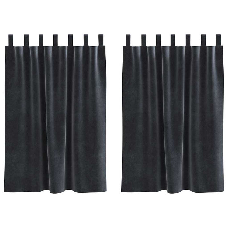 Vidaxl Verdunkelungsvorhänge 2 Stück dunkelgrau 140 x 140 cm Samt